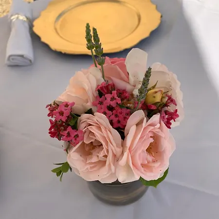 Manoir De Bel Ebat Guest house 3*