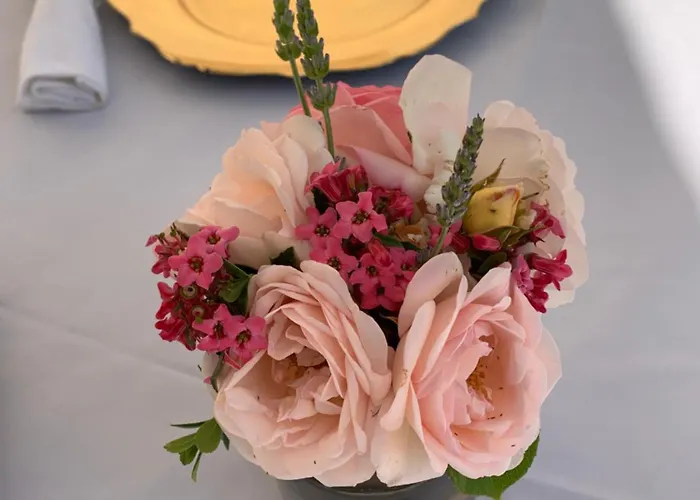 Manoir De Bel ébat Pensión 3*